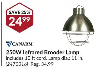 Princess Auto 250W Infrared Brooder Lamp offer