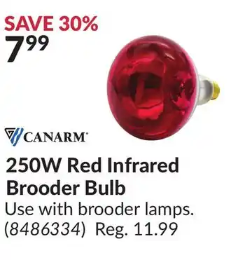 Princess Auto 250W Red Infrared Brooder Bulb offer
