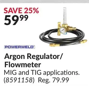 Princess Auto Argon Regulator/Flowmeter offer