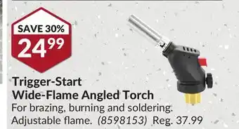 Princess Auto Power Fist Trigger-Start Wide-Flame Angled Torch offer