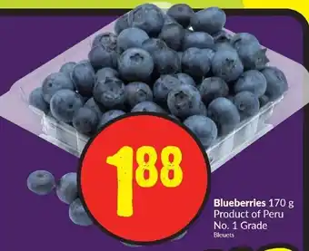FreshCo Blueberries 170g offer