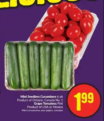 FreshCo Mini Seedless Cucumbers 6 pk, Grape Tomatoes offer