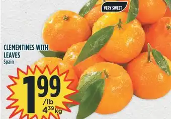 Marché Adonis CLEMENTINES WITH LEAVES offer