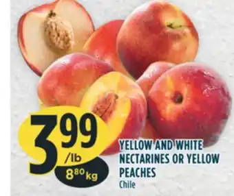 Marché Adonis YELLOW AND WHITE NECTARINES OR YELLOW PEACHES offer