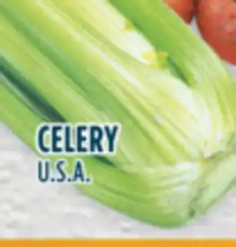 Marché Adonis CELERY offer