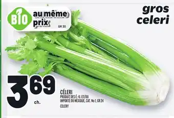 Metro CÉLERI | CELERY offer