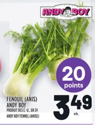 Metro FENOUIL (ANIS) ANDY BOY | ANDY BOY FENNEL (ANISE) offer