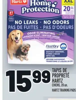 Metro TAPIS DE PROPRETÉ HARTZ | HARTZ TRAINING PADS offer