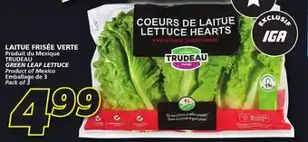 IGA GREEN LEAF LETTUCE offer