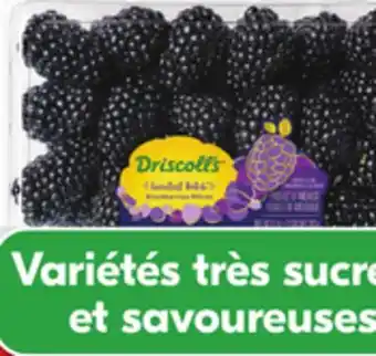 IGA DRISCOLL'S BLACKBERRIES offer