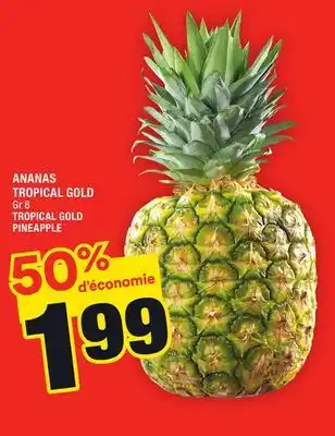 Super C ANANAS TROPICAL GOLD | TROPICAL GOLD PINEAPPLE offer