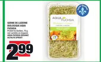 Super C GERME DE LUZERNE BIOLOGIQUE AQUA FUCHSIA | AQUA FUCHSIA ORGANIC ALFALFA SPROUT offer