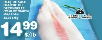 Marches Tradition FRESH OR THAWED SOLE FILLET offer