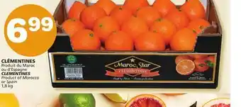 Marches Tradition CLEMENTINES offer