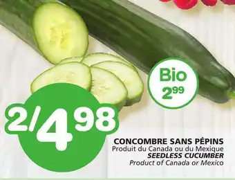 Marches Tradition SEEDLESS CUCUMBER offer