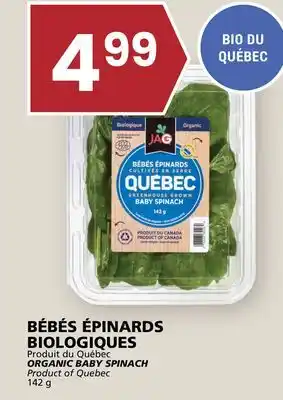 Rachelle-Bery Grocery ORGANIC BABY SPINACH offer