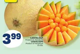 Marché Bonichoix CANTALOUPE offer
