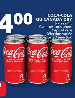 Marché Bonichoix COCA-COLA OR CANADA DRY offer