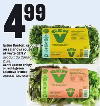 Provigo LAITUE BOSTON, CROQUANTE OU SALANOVA ROUGE ET VERTE GEN V, 2 UN offer