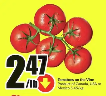 FreshCo Tomatoes on the Vine offer