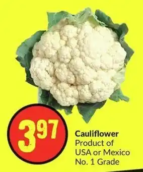 FreshCo Cauliflower offer