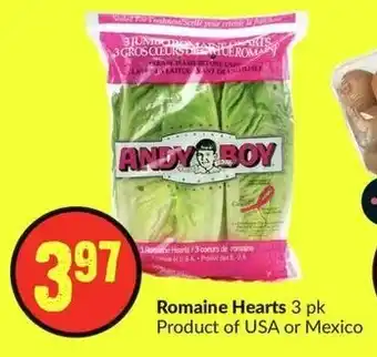 FreshCo Romaine Hearts 3 pk offer