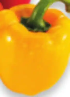 Walmart Bulk Yellow Peppers offer