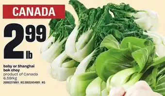 Loblaws BABY OR SHANGHAI BOK CHOY offer