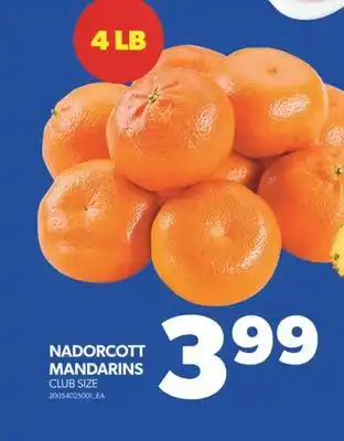 Real Canadian Superstore NADORCOTT MANDARINS, 4 LB offer