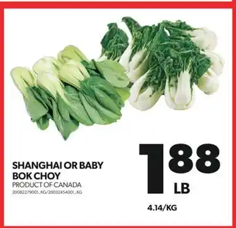 Real Canadian Superstore SHANGHAI OR BABY BOK CHOY offer