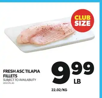 Real Canadian Superstore FRESH ASC TILAPIA FILLETS offer