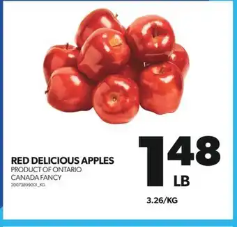 Real Canadian Superstore RED DELICIOUS APPLES offer