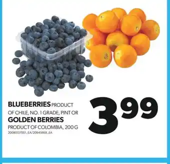 BLUEBERRIES, PINT OR GOLDEN BERRIES, 200 G