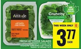 Food Basics FRESH ATTITUDE SALADS OR VISION GREENS LETTUCE offer