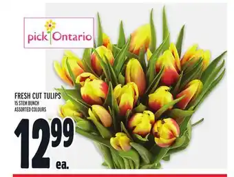 Metro FRESH CUT TULIPS offer