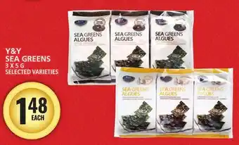 Food Basics Y & Y SEA GREENS offer