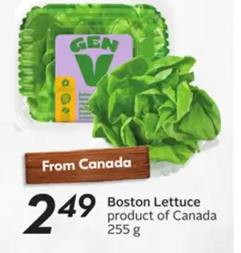 Sobeys Boston Lettuce offer