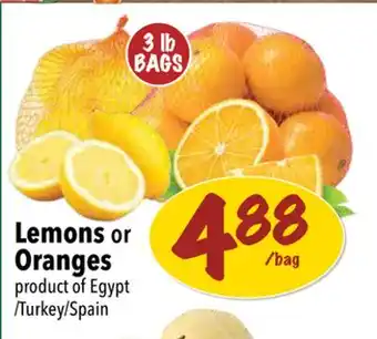 Farm Boy Lemons or Oranges product of Egypt/Turkey/Spain offer
