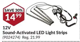 Princess Auto 12V Sound-Activated LED Light Strips offer
