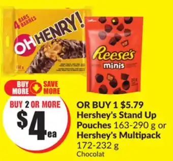 Chalo FreshCo Hershey's Stand Up Pouches 163-290 g or Hershey's Multipack 172-232 g offer