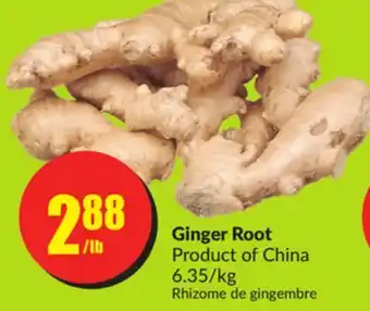 Chalo FreshCo Ginger Root Product of China 6.35/kg offer