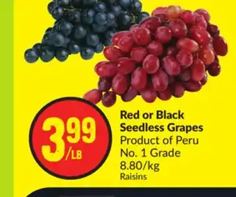 Chalo FreshCo Red or Black Seedless Grapes Product of Peru No. 1 Grade 8.80/kg offer