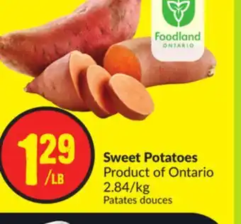 FreshCo Sweet potatoes Product of Ontario 2.84/kg offer