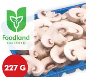 Giant Tiger 227 g sliced white mushrooms offer