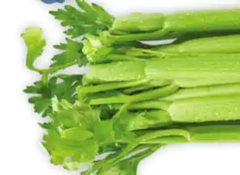 Giant Tiger Celery offer