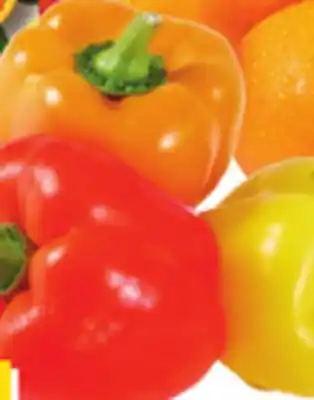 Giant Tiger 3 pack rainbow peppers offer