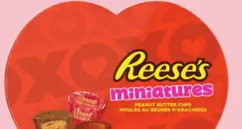 Giant Tiger Reese's miniatures offer