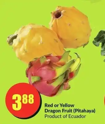 FreshCo Red or Yellow Dragon Fruit (Pitahaya) offer