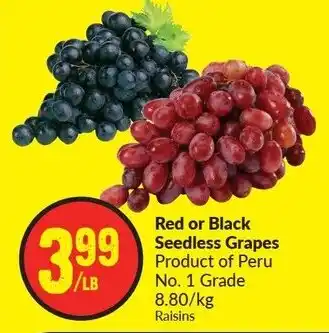 FreshCo Red or Black Seedless Grapes offer