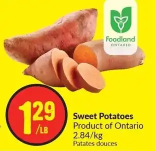 FreshCo Sweet Potatoes offer